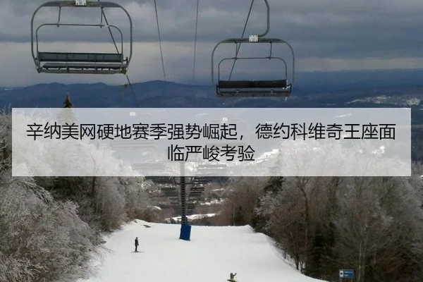 辛纳美网硬地赛季强势崛起，德约科维奇王座面临严峻考验
