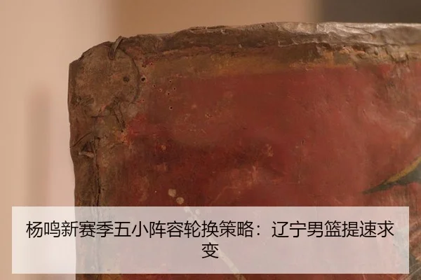 yang-ming-xin-sai-ji-wu-xiao-zhen-rong-lun-huan-ce-lve-liao-ning-nan-lan-ti-su-qiu-bian-2-822.jpg
