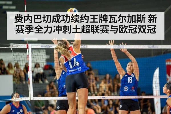 volleyball match action